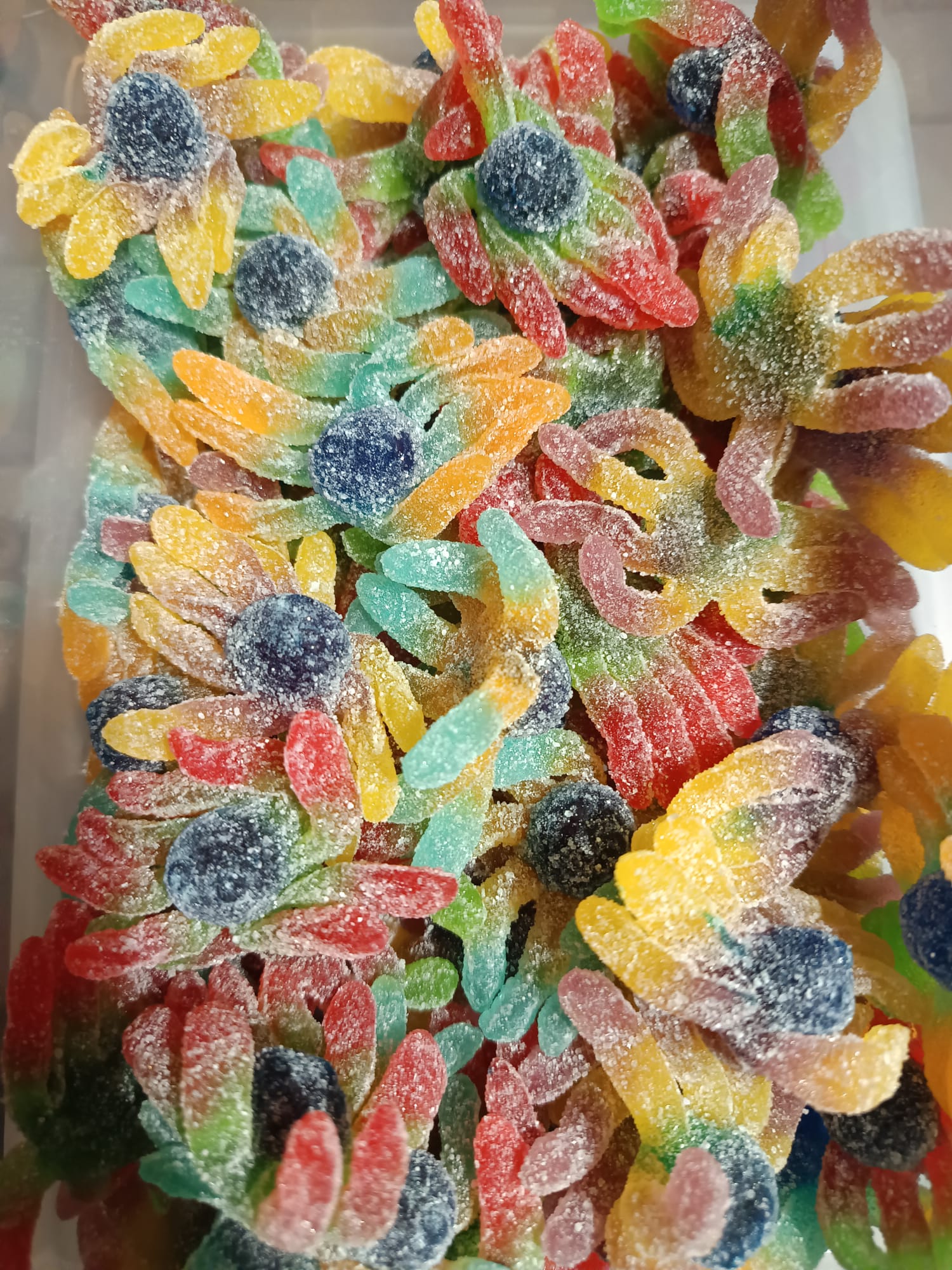 Octopus trolli lot de 5 pièces