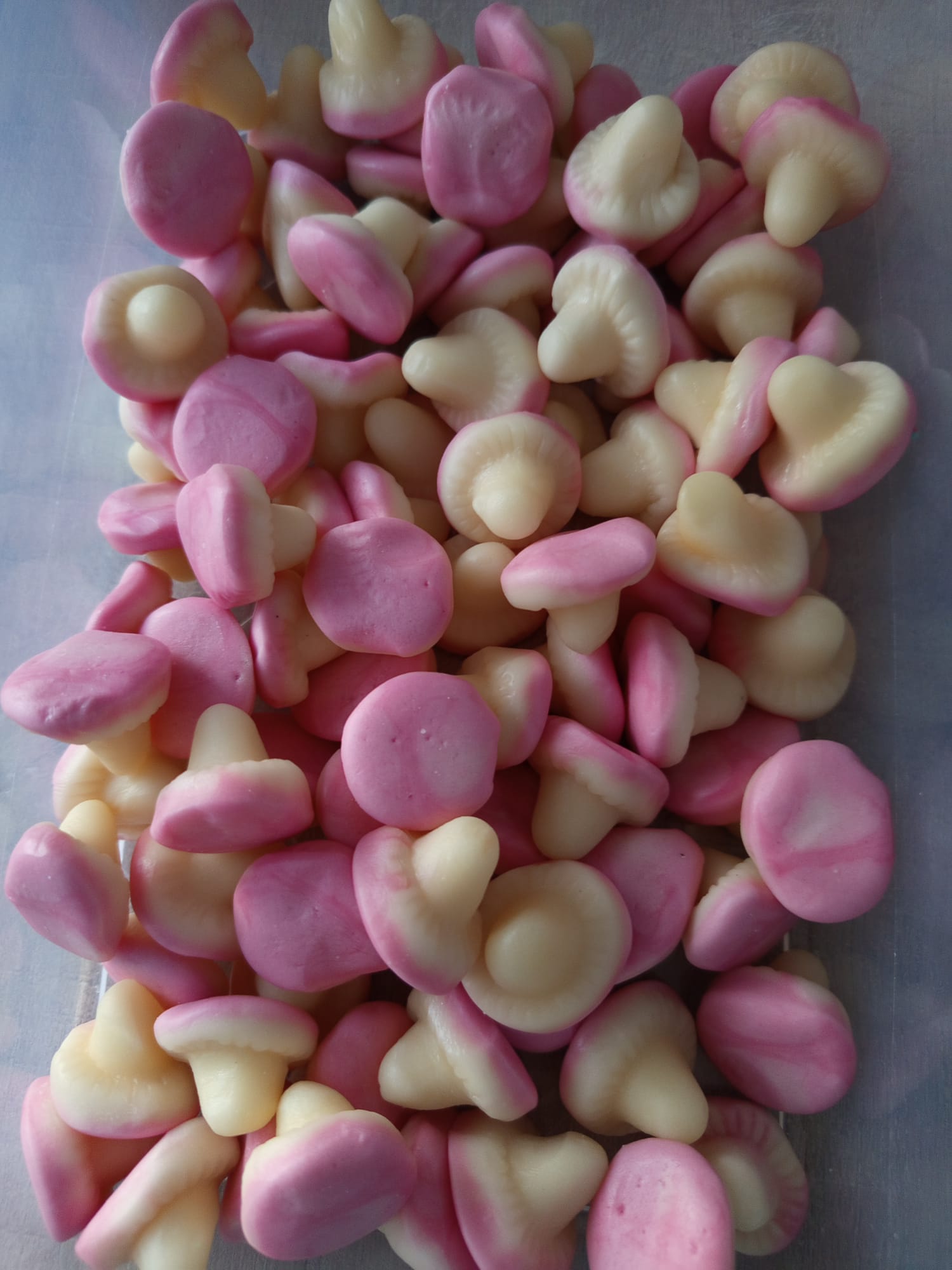 Champignon lisse Dulceplus halal ( 100 g )