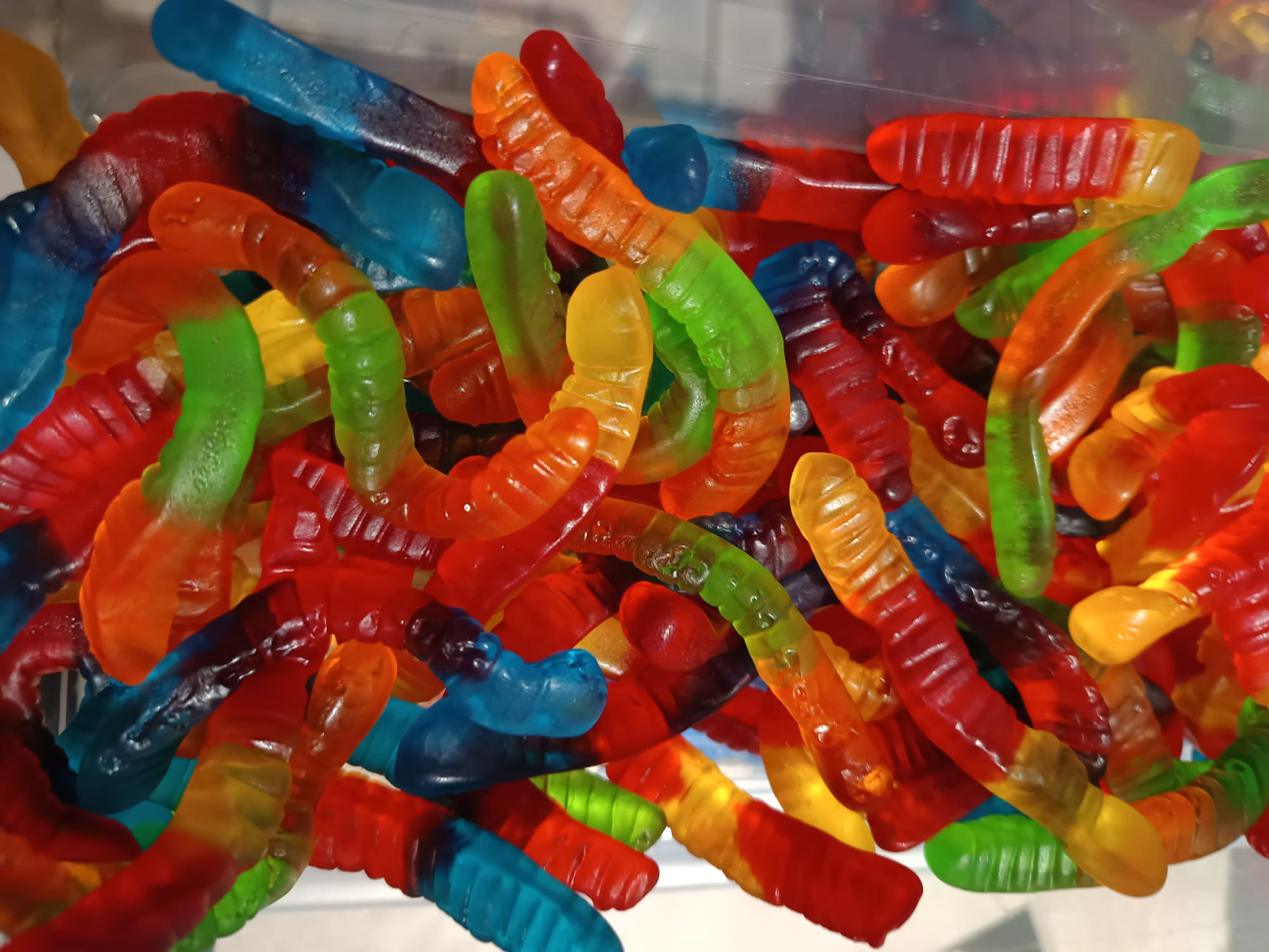 Vers de terre fruit Damel halal ( 100g )