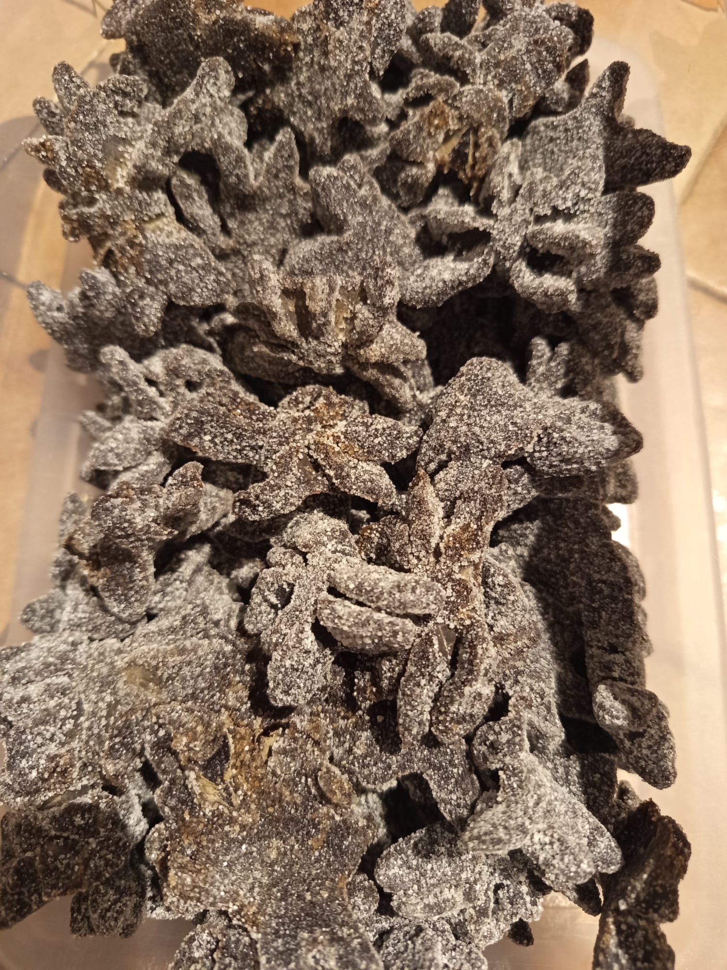 DAMEL Araignée noire sucrée halal ( 100 g )